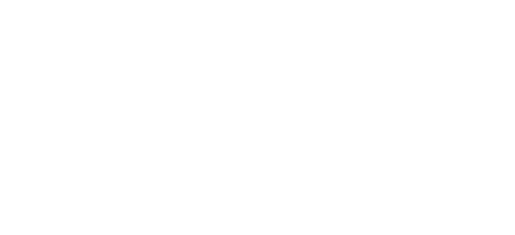 ritz safety